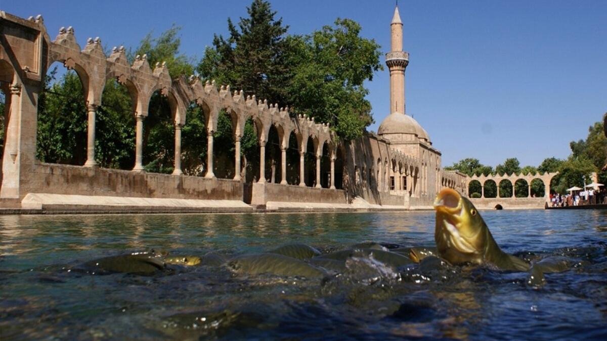 Şanlıurfa'dan Kısa Kısa Haberler 