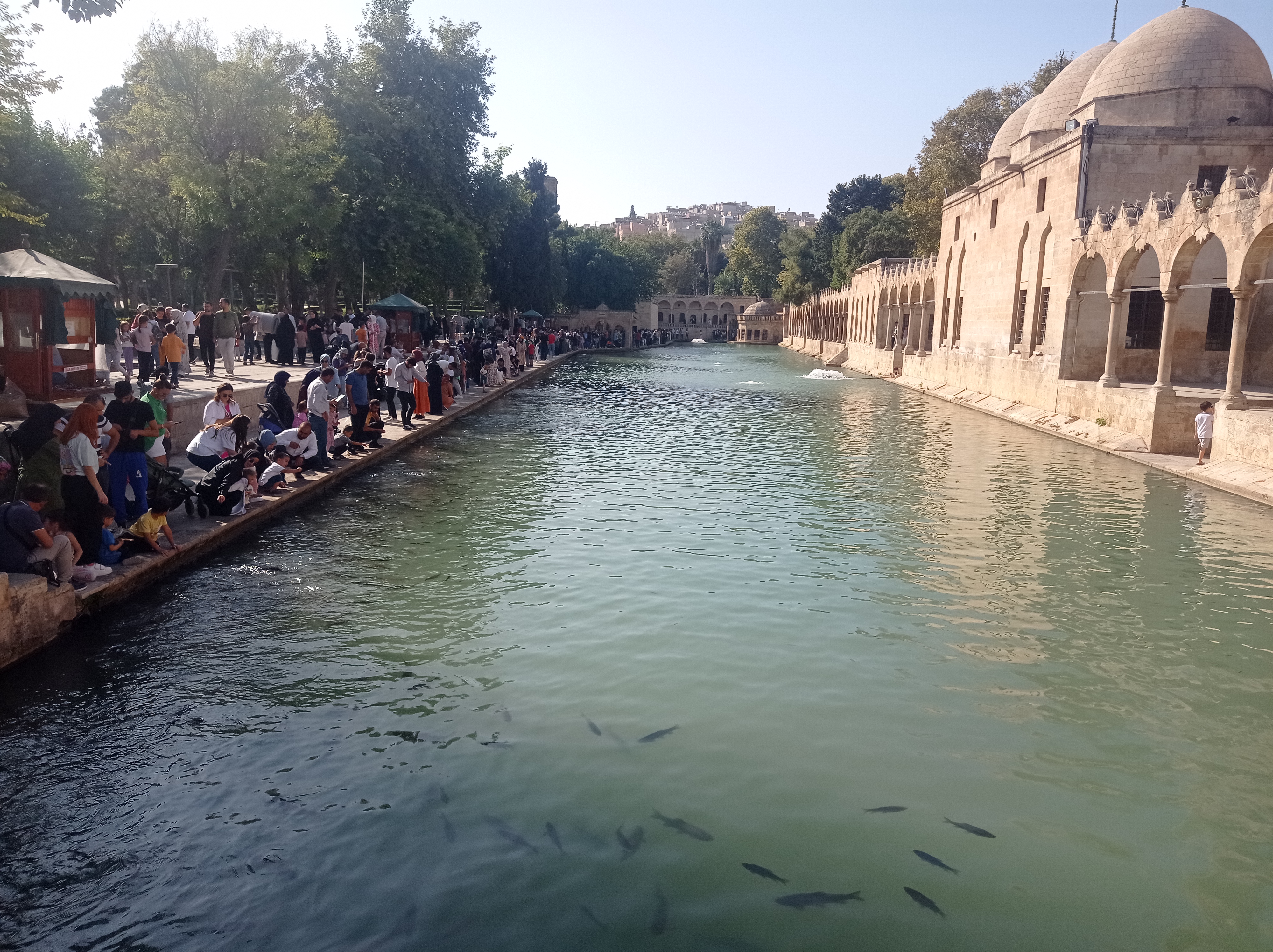 Şanlıurfa'da Depremden Zarar Gören Yapıların Yıkımına Devam Ediliyor