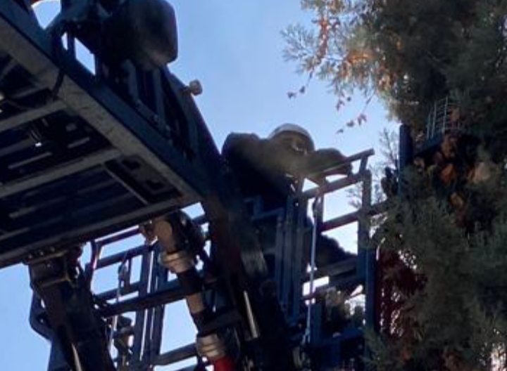 Urfa'da Öğretmenin Dikkati Kediyi Kurtardı