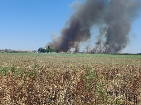 Şanlıurfa'da Toprağa ve Canlılara Zarar Veren Anız Yangınları Devam Ediyor