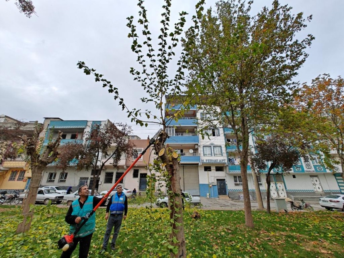 Eyyübiye'de Yeşil Alanlara İçin Bakım Zamanı