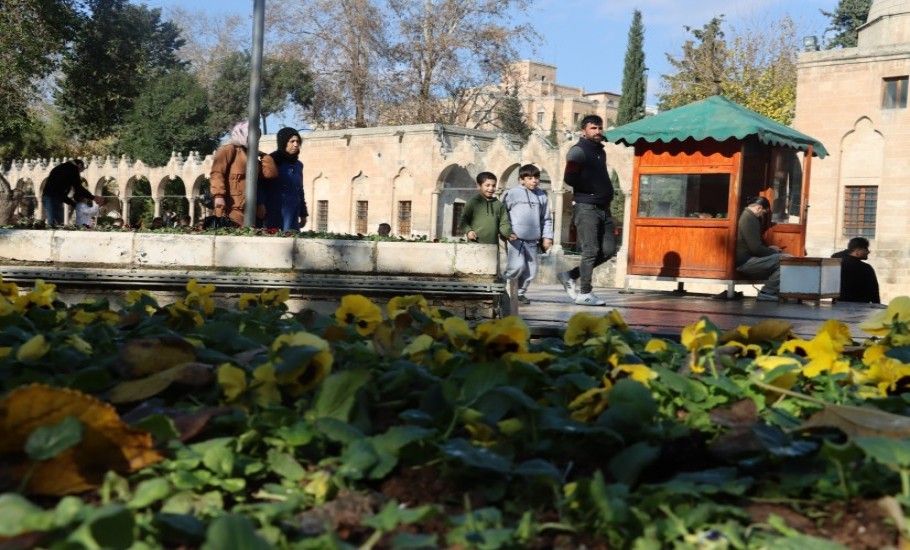 Rengarenk Çiçekler Şanlıurfa Sokaklarını Süsleyecek