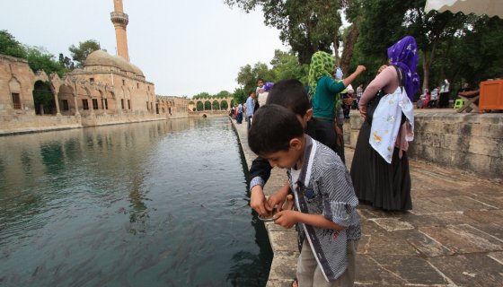 ŞANLIURFA BALIKLIGÖL (HALİLÜRRAHMAN GÖLÜ)